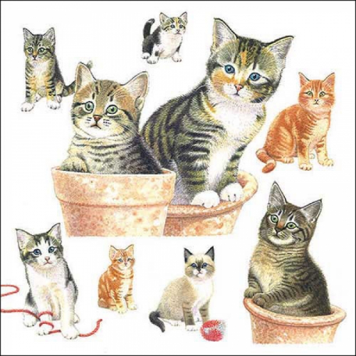 Serviettes en papier cute kittens - ambiente