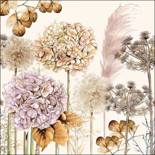 Serviettes en papier dried flowers - ambiente