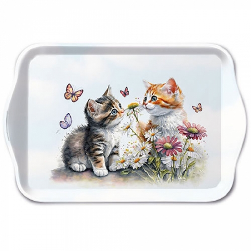 Petit plateau kittens in flower field - ambiente