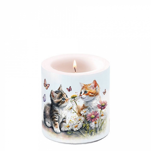 Petite bougie lampion kittens in flower - ambiente